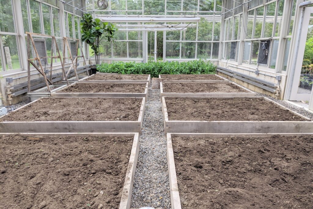 Preparing The Vegetable Greenhouse Beds For Planting The Martha