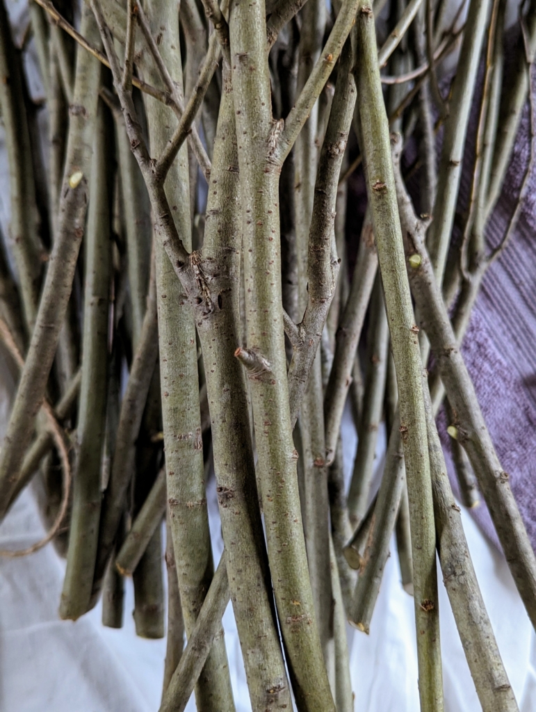 Pussy Willow Arrangements For Easter The Martha Stewart Blog