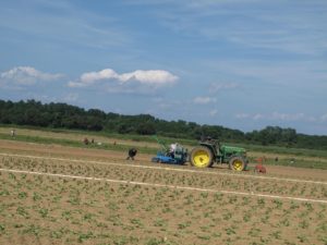 This tractor is pulling a planting machine.  The two workers sitting upon it position the seedlings, while the person following, sets them firmly in the ground.