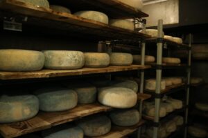 This is one of the cheese caves in The Larder, where there were lots of cheeses aging.