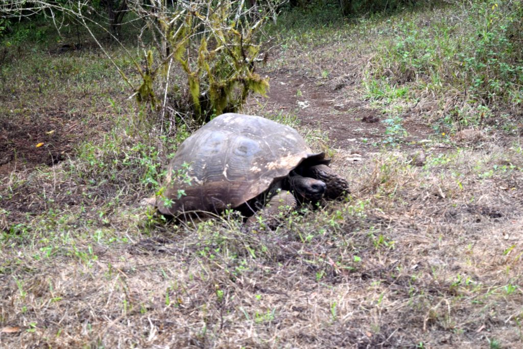 A Guest Blog from Gabe on His Vacation to the Galápagos - The Martha ...