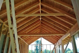 This is a view from inside the coop. The ceilings are built pretty high - 12-feet to the top of the ridge.