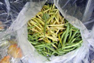 And a big bag of raw fresh green beans. when picking string beans, they should be tender, long, stiff, but flexible and should give a snap sound when broken.