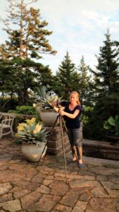We hosted Garden Design magazine this weekend- Clare, a photographer from England, worked for three days in all types of weather to capture her version of my property for a future issue.