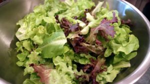 Fresh varied lettuces are washed and trimmed for the salads.