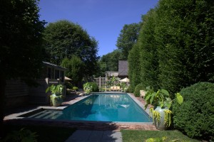 The swimming pool in the back yard is adorned with aqua glazed strawberry pots which are planted with many different succulents and alocasias, or elephant ears. The tall trees are European hornbeam. The smaller shrubs are boxwood.