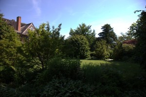 Here is a view of the other side - everything is so lush, it's hard to see the house through all the foliage.
