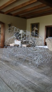 Chicken wire is so useful when making any kind of arrangement - it is available at The Home Depot, and can be shaped to fit any size vessel. Kevin used it to  create the inner structure of the moss arrangement.