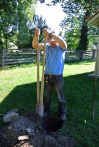 Using a post hole digger, my outdoor grounds crew foreman, Chhiring Sherpa, digs a big hole for the tree next to the new peafowl coop.