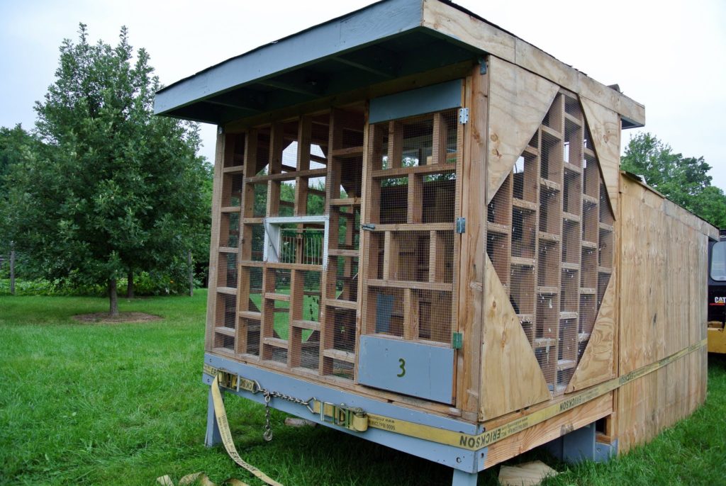 A Pigeon Coop Arrives at the Farm The Martha Stewart Blog