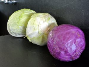 These cabbages are ready to be bagged and stored in the refrigerator - nothing gets washed until we are ready to use them.