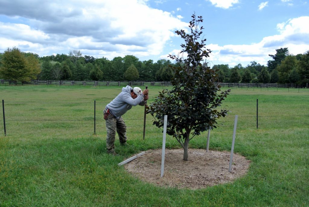 Completing Late-Summer Chores at the Farm - The Martha Stewart Blog