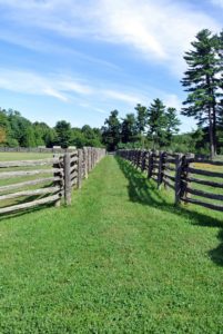 This is old Canadian white spruce fencing I imported. It surrounds all the paddocks where the horses, donkeys and pony graze.