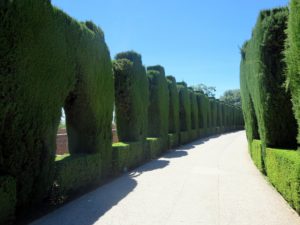 Generalife's New Gardens, also known as the Rose Gardens were created in 1931 by architect, Leopoldo Torres Balbas. It includes a labyrinth of cypress trees built to depict a medieval agricultural settlement.