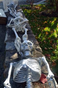They don't look too scary yet, but here are some of my life-sized skeletons ready to guard the front entrance to my farm.
