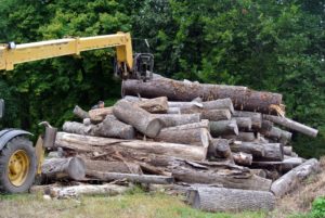 For this project, we needed quite a number of cut logs. I always recycle felled trees whenever possible. During the course of the year, my outdoor grounds crew amasses large amounts of organic debris - felled trees, branches, leaves, etc., but none of the material goes to waste.