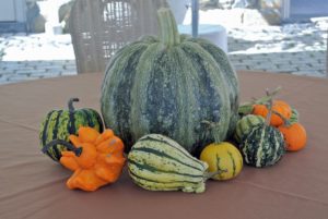 A pretty pumpkin and gourd centerpiece adorned each of the 12-tables.