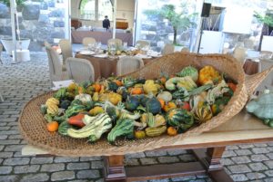 I showed our beautiful cornucopia of gourds squashes and pumpkins - a variety of cucurbits in different sizes, shapes and colors, all picked from my pumpkin patch.