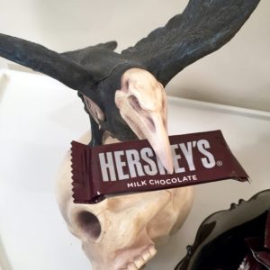 Our Haunted Raven with skull is just one the items you'll find at Home Decorators Collection!  Place a big chocolate bar in its mouth to give a menacing look.