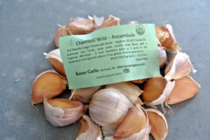 Chamisol Wild-Rocambole are hardneck, very hardy, large-sized cloves with an earthy sweet flavor - it's a true heirloom garlic and has grown wild in the Southwest for many years.
