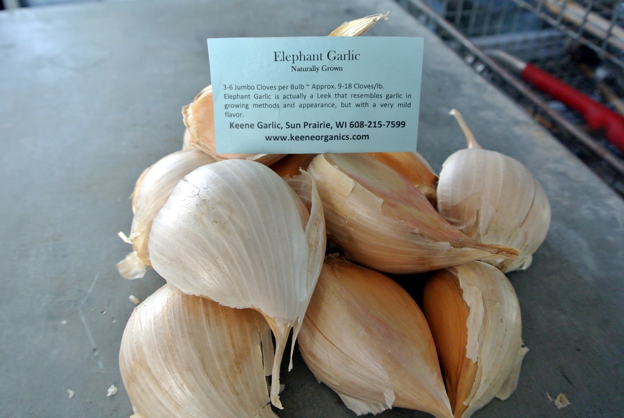 Planting the Next Crop of Garlic - The Martha Stewart Blog