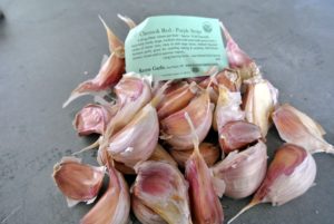 The Chesnok Red-Purple Stripe garlic is an heirloom variety. It is loved for its rich flavor as an all-purpose cooking garlic. It's also well known as a superb baking garlic.