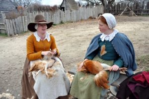 Plimoth Plantation is a living museum that presents visitors with two re-created settlements from the 1620s - a Native American Wampanoag homesite, and a village established by English colonists, who later became known as Pilgrims. Here, they saw how the poultry was prepared.