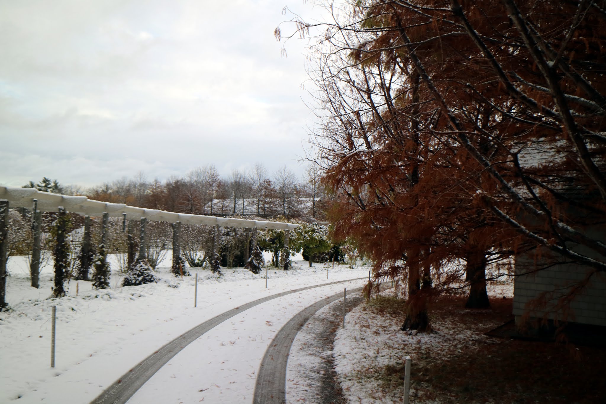 Autumn in Winter  A widespread snowfall in November creates