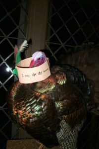Truman made this paper headdress during a Mandarin class - complete with its own feathers, and the words "I'm thankful" in Mandarin.