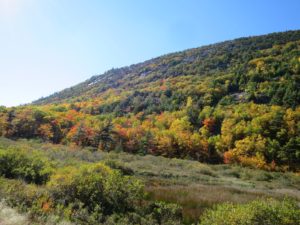 This is Dorr Mountain, a narrow north-south formation with steep cliffs on its east and west faces. Sandwiched between Champlain Mountain to the east and Cadillac Mountain to the west, Dorr Mountain offers outstanding summit views in all directions.