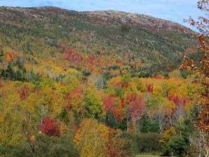 During an autumn tour of the surrounding areas, Cheryl captured this view looking out towards Cadillac Mountain within Acadia National Park. It has an elevation of 1,528 feet, and its summit is the highest point within 25-miles of the shoreline.