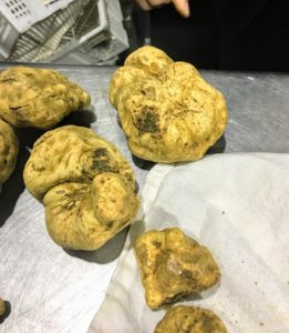 The white truffle, also known as tartufo bianco di Alba is characterized by its irregular shape, due to the hardness and unevenness of the soil in which it grows. This type of truffle is yellow-green in color and smooth to the touch.
