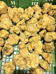 I adore shaved white truffle over homemade pasta! Its flavor is sublime. The white truffle has never been successfully cultivated and is currently priced at more than 165-dollars per ounce.