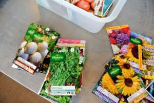 Vilmorin offers hundreds of varieties of organic vegetable, herb, flower, and fruit seeds - most are their own, but they also sell other well-loved brands.