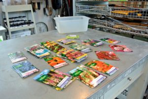 "Beg, borrow or buy your seeds". Whenever I travel, it is one of the first things I like to purchase. And when I return home, I bring the collection of seeds straight to the greenhouse, so Ryan can start planting them indoors - new seeds are always so exciting.