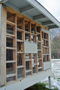 To keep the pigeons secure and safe from predators, we closed all the openings. This opening covers the buck bars. the wooden cover was also painted my signature color "Bedford Gray" to match all the other outbuildings and coops on the property.