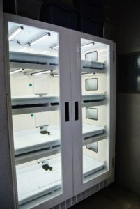 This is our commercial-sized Urban Cultivator. It is kept in the head house of my main greenhouse. It weighs 545-pounds and can hold up to 16-flats. http://www.urbancultivator.net