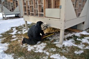 To catch the pigeon droppings, Pete is building a support for two sliding pieces of wood that can be swept clean on a regular basis. This prevents the droppings from accumulating on the grass below.