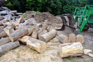 We use logs for various projects, but we also mill the logs, put them through the tub grinder or the chipper, or split and stack them for firewood. If I cannot save a tree, it is comforting to know I can reuse the wood left behind.