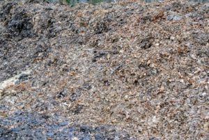 We also store piles of leaves. Called leaf mold after cold composting, it is produced by the fungal breakdown of shrub and tree leaves. Leaves are collected and left to age for a couple of years before it is reused.