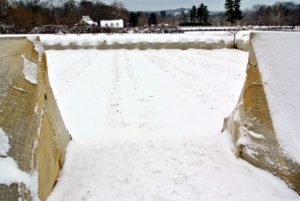 This is a my herbaceous peony bed at rest - I cannot wait to see it overflowing with white and pink peony blooms this year. If you look closely, you can still see the outline of the beds through the snow.