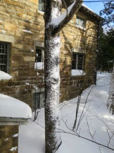I love how the snow sticks to the bark of the trees. This tree can be seen from the windows of the office, the food pantry and kitchen.