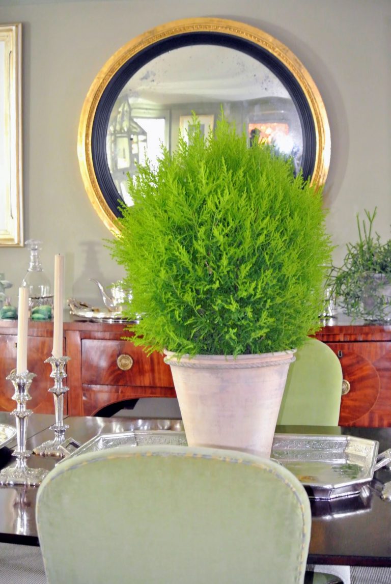 Decorating With Houseplants The Martha Stewart Blog