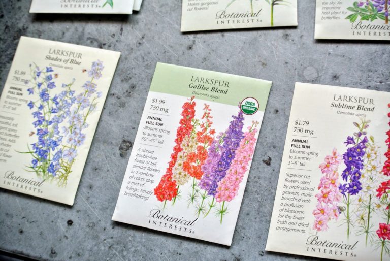 Starting Flower Seeds from Botanical Interests - The Martha Stewart Blog