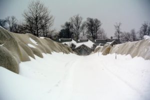 Here is the long Boxwood Allee in front of the stable - look at how the snow gathers on top of the protective burlap coverings. The outdoor grounds crew did such a wonderful job constructing the burlap tents this season. Foot-high snow drifts accumulated at the foot of the allee, all the way to the end.