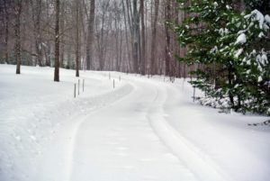 This meandering carriage road leads to the run-in paddock for the Friesians. The fast-falling snow made it hard to see – I am glad the stakes delineate the roads, especially in the back fields. As soon as I plowed a road, the snow would cover it all up again.