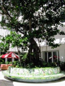 Nearby is Faena's Tree of Life - a courtyard seating area featuring this three-story tall tree.