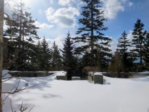 Here is a view from the Living Hall doors looking out onto a portion of the terrace - I love looking out at the surrounding spruce trees.