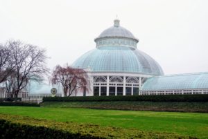 It poured all day, but the Conservatory looks beautiful in all kinds of weather. Originally constructed in 1902, the steel and glass structure includes a 90-foot tall domed Palm Gallery and 10 attached glasshouse galleries.