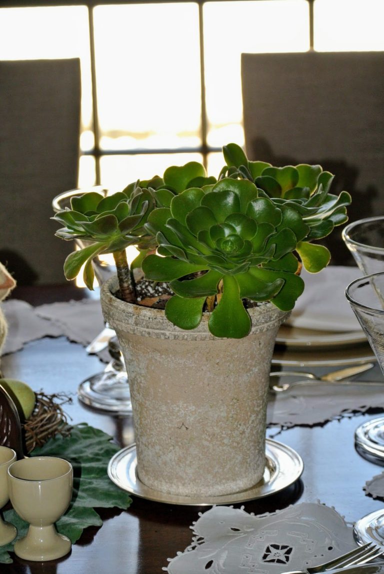 Decorating with Houseplants for Easter The Martha Stewart Blog